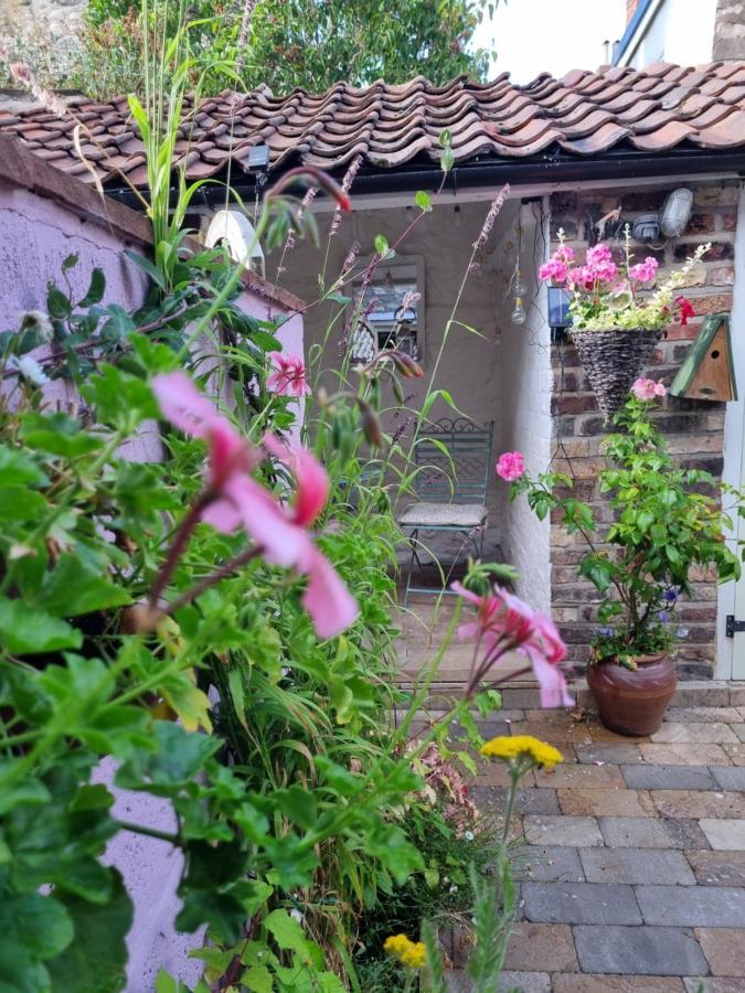 Bluebird Cottage Пикеринг Экстерьер фото